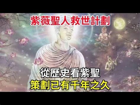 紫薇聖人|救世聖人的前世今生及其黃金分割比轉世規律（五）